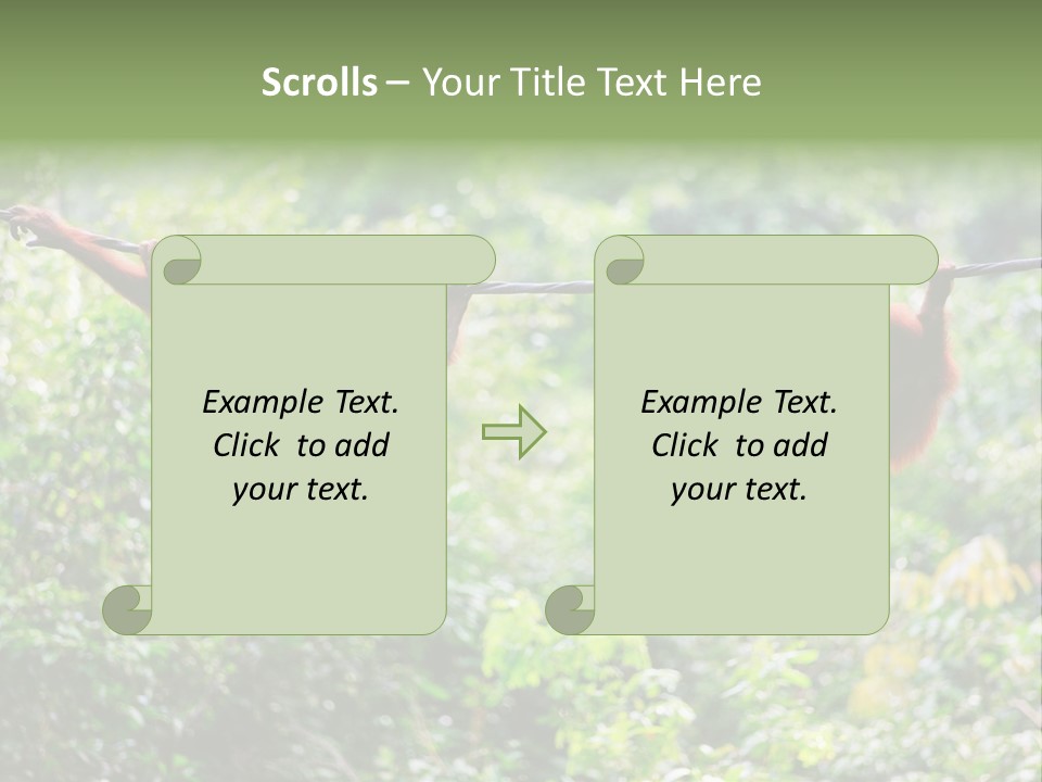 Orangutan Borneo Ape PowerPoint Template