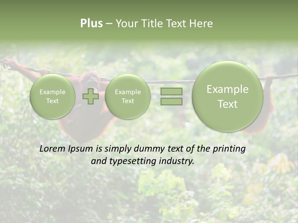 Orangutan Borneo Ape PowerPoint Template