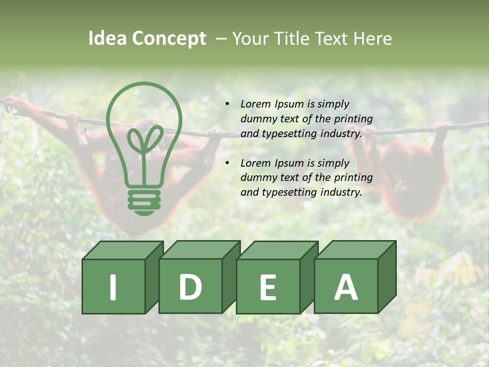 Orangutan Borneo Ape PowerPoint Template