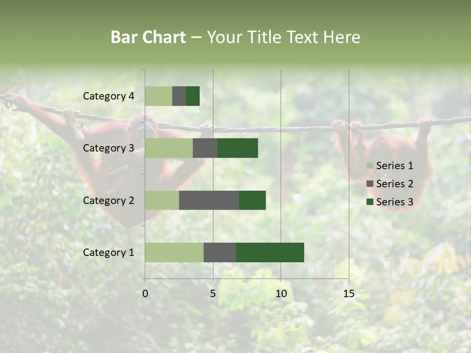 Orangutan Borneo Ape PowerPoint Template