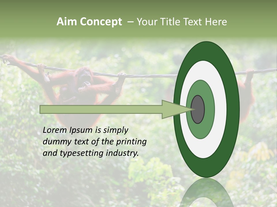 Orangutan Borneo Ape PowerPoint Template