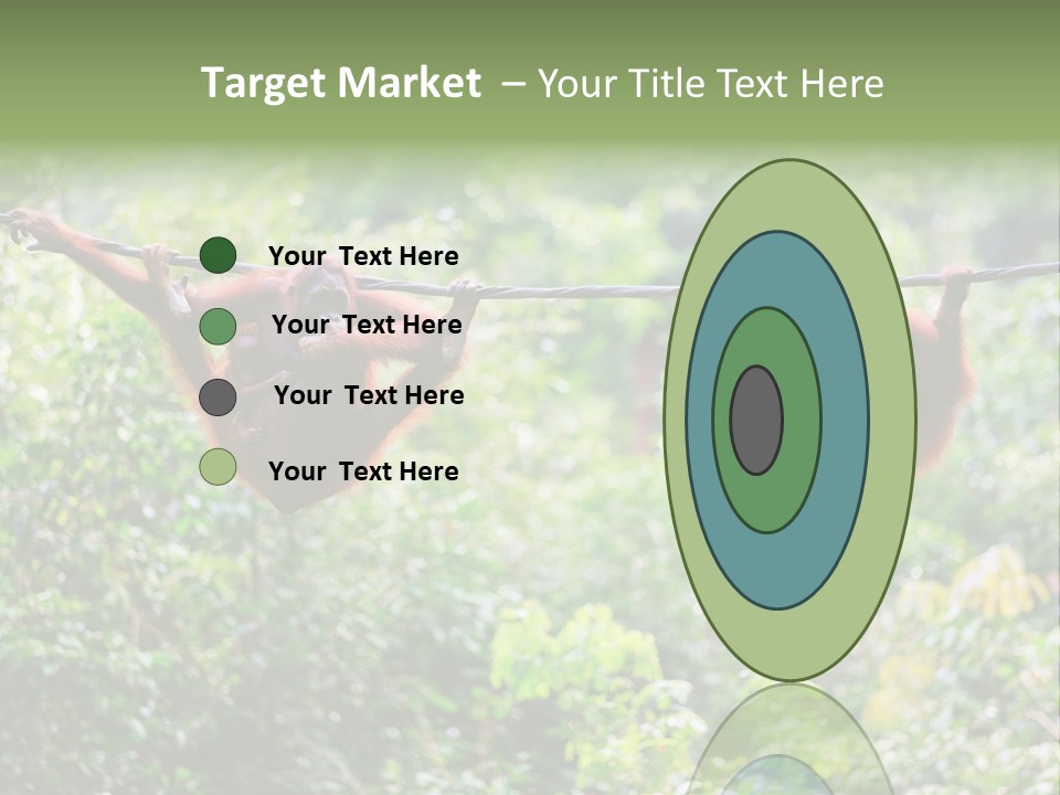 Orangutan Borneo Ape PowerPoint Template