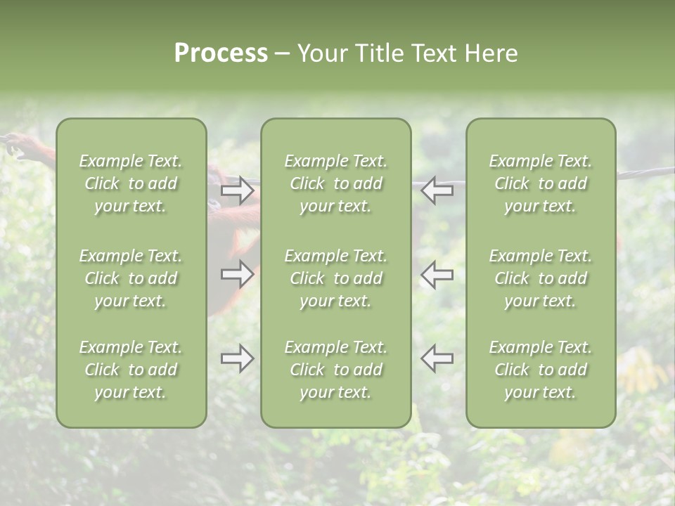 Orangutan Borneo Ape PowerPoint Template