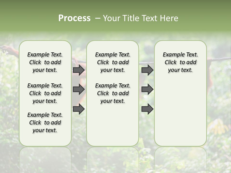 Orangutan Borneo Ape PowerPoint Template