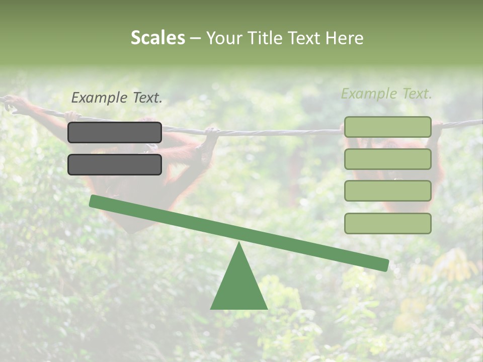 Orangutan Borneo Ape PowerPoint Template