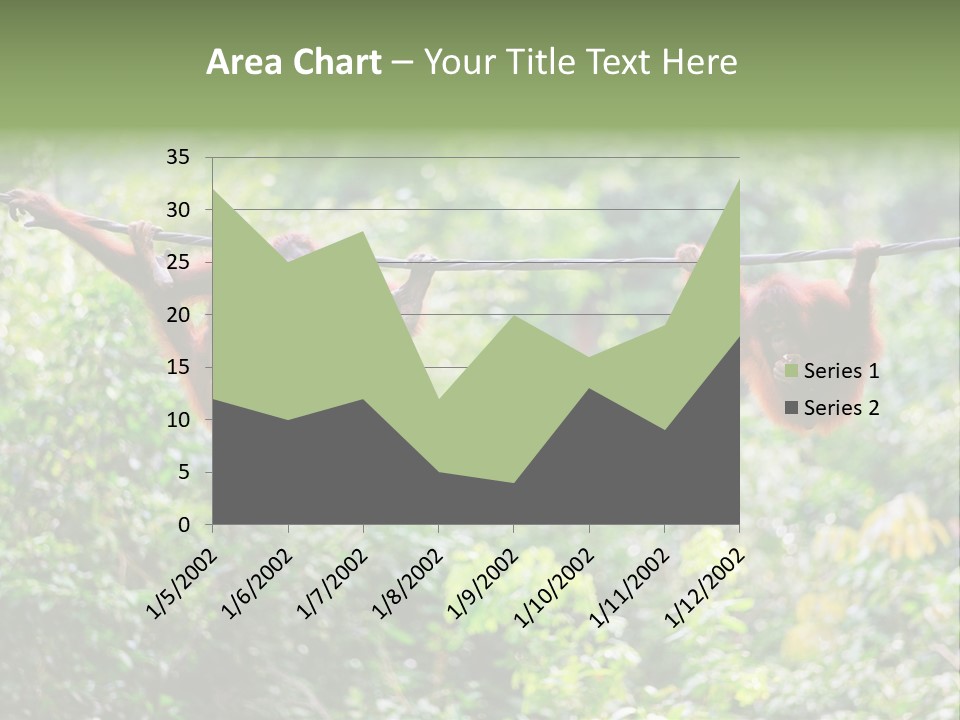 Orangutan Borneo Ape PowerPoint Template