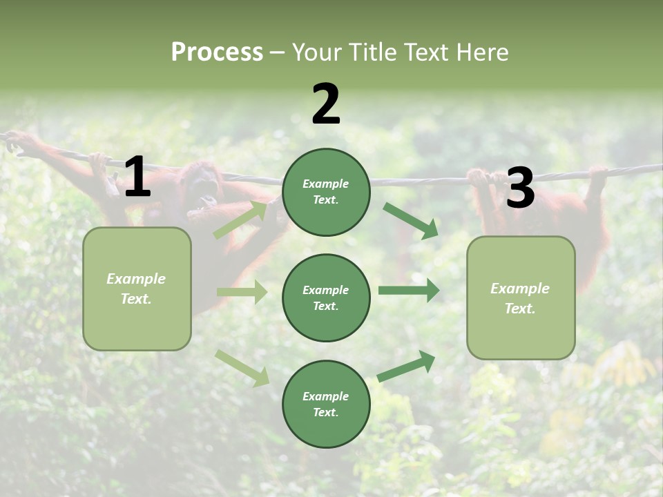 Orangutan Borneo Ape PowerPoint Template