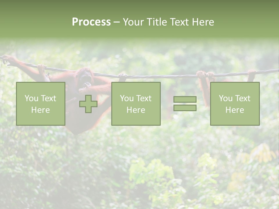 Orangutan Borneo Ape PowerPoint Template