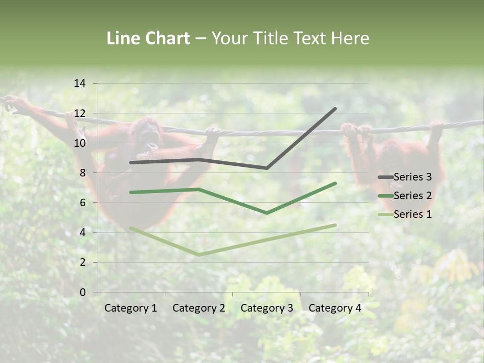 Orangutan Borneo Ape PowerPoint Template