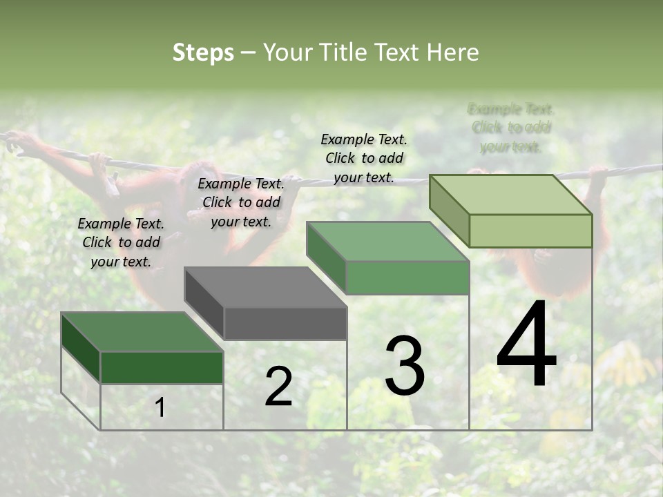 Orangutan Borneo Ape PowerPoint Template