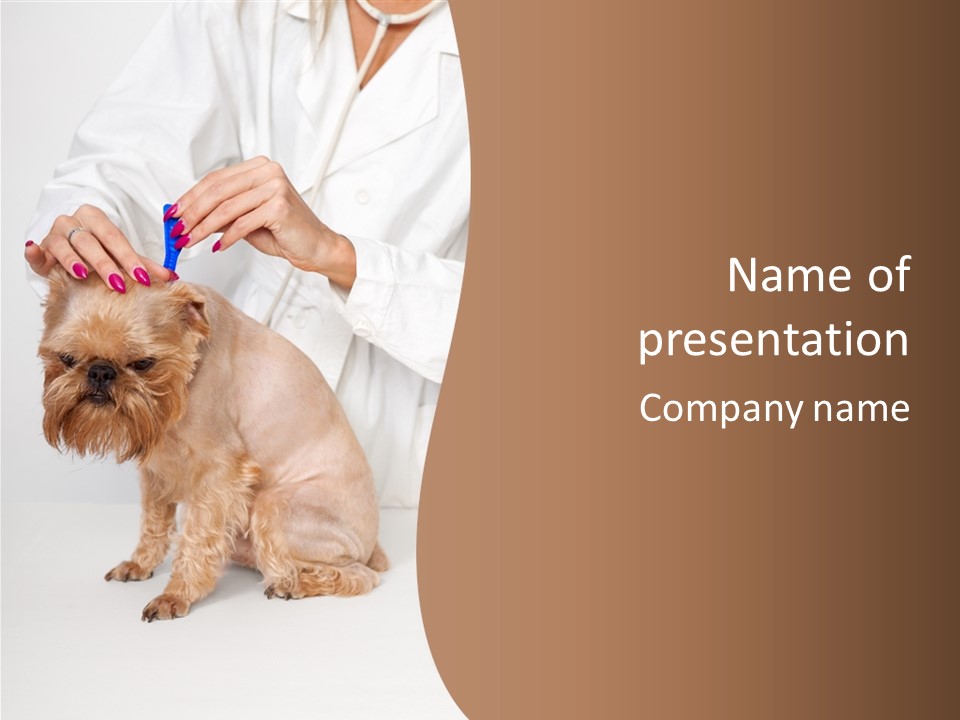 Purebred Portrait Medicine PowerPoint Template