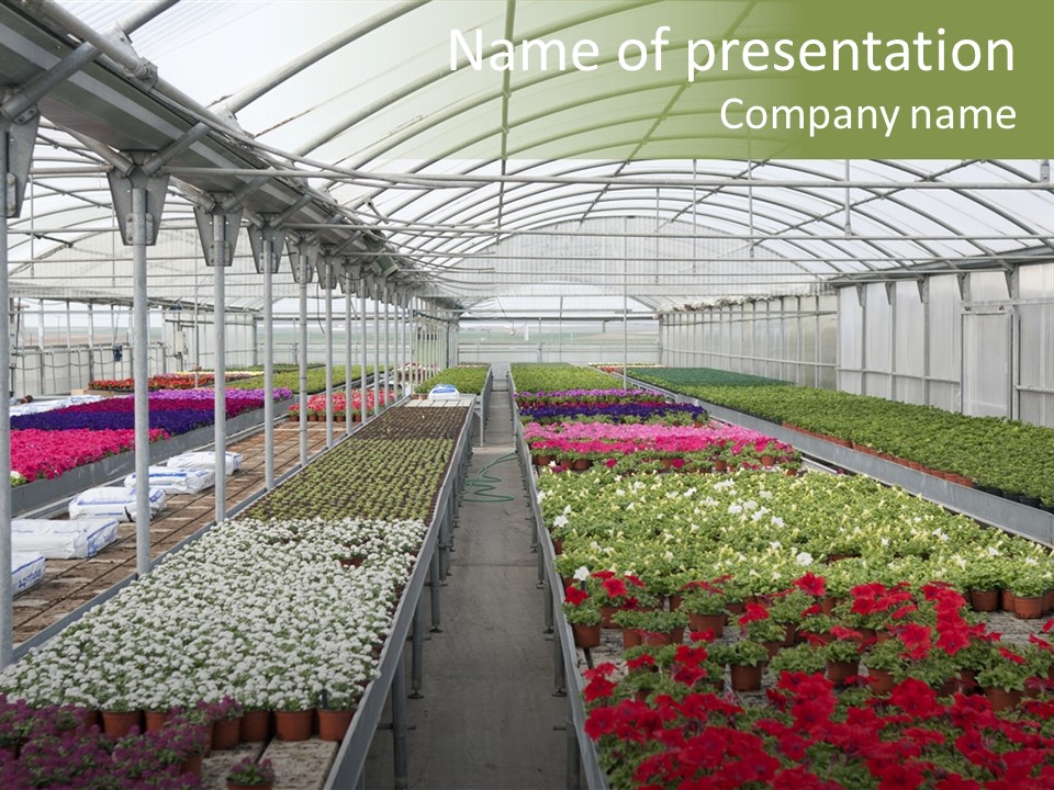 Equipment Garden Cultivated PowerPoint Template