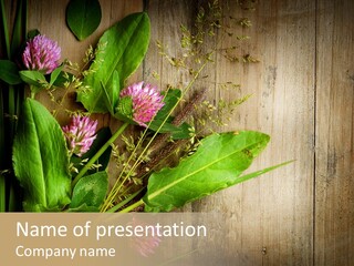 Leaves Pharmaceutical Herb PowerPoint Template
