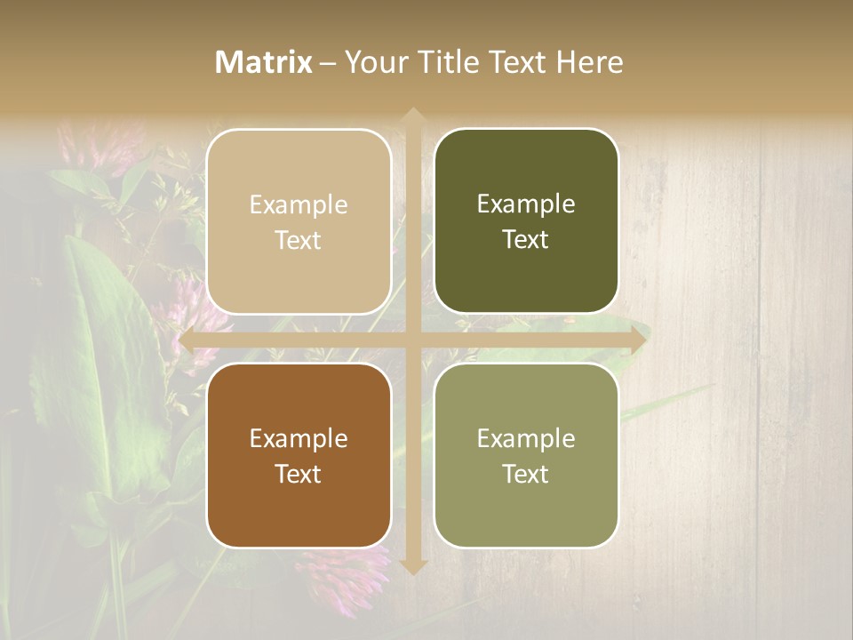 Leaves Pharmaceutical Herb PowerPoint Template