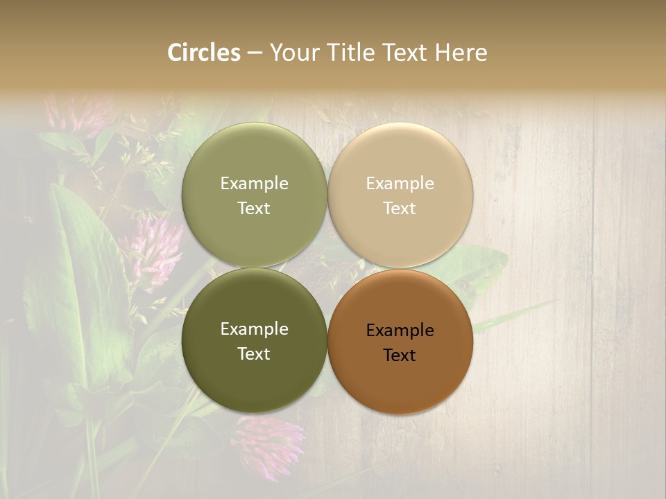 Leaves Pharmaceutical Herb PowerPoint Template