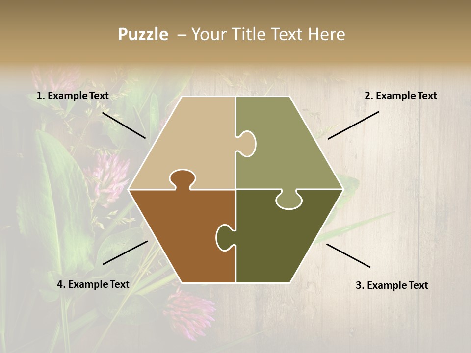 Leaves Pharmaceutical Herb PowerPoint Template