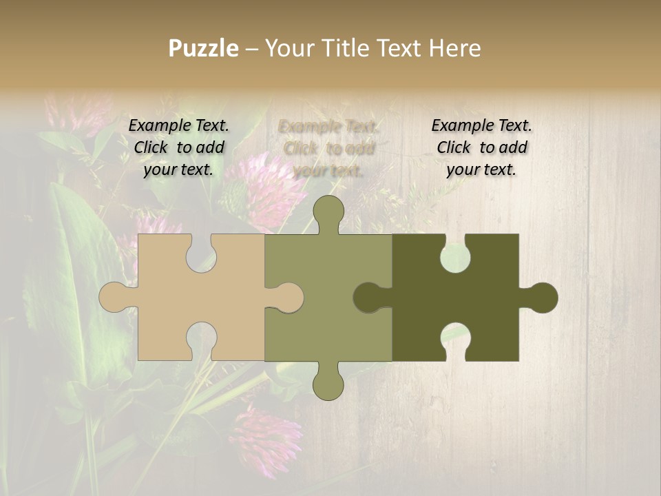 Leaves Pharmaceutical Herb PowerPoint Template