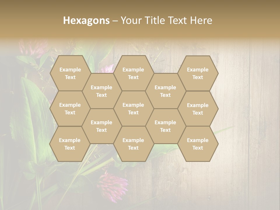 Leaves Pharmaceutical Herb PowerPoint Template