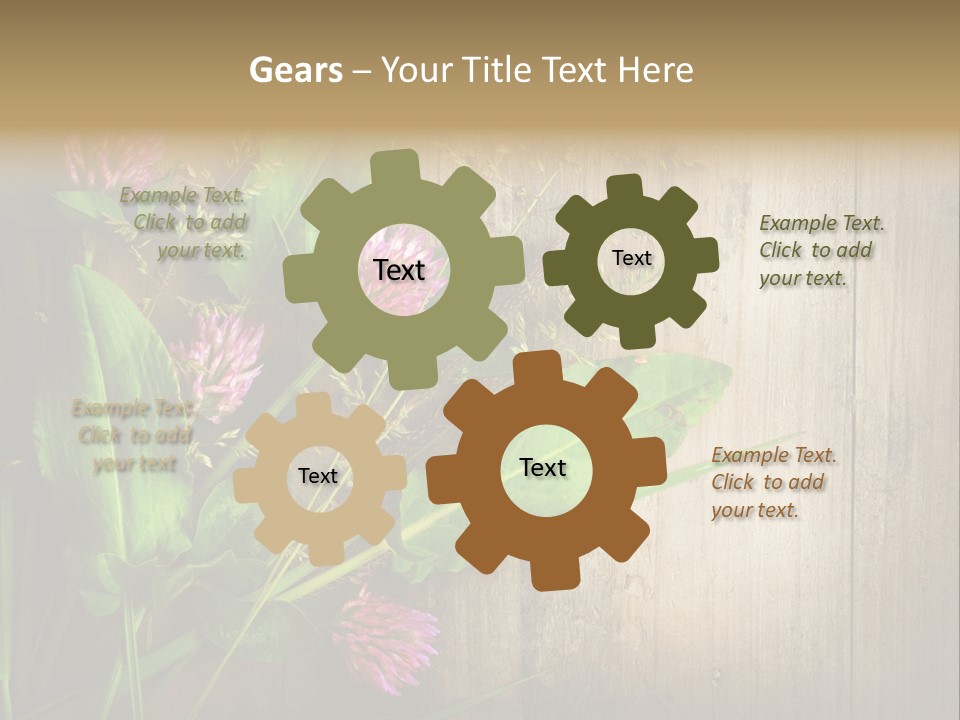Leaves Pharmaceutical Herb PowerPoint Template