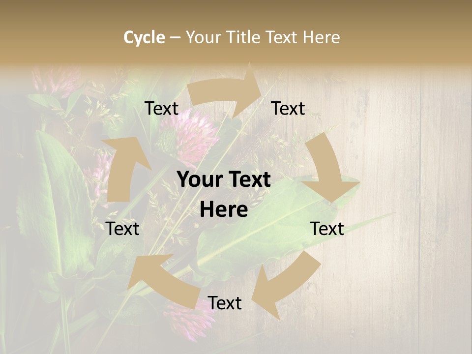Leaves Pharmaceutical Herb PowerPoint Template