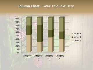 Leaves Pharmaceutical Herb PowerPoint Template