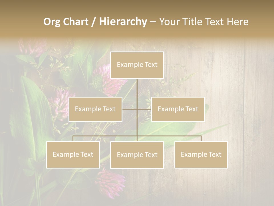 Leaves Pharmaceutical Herb PowerPoint Template