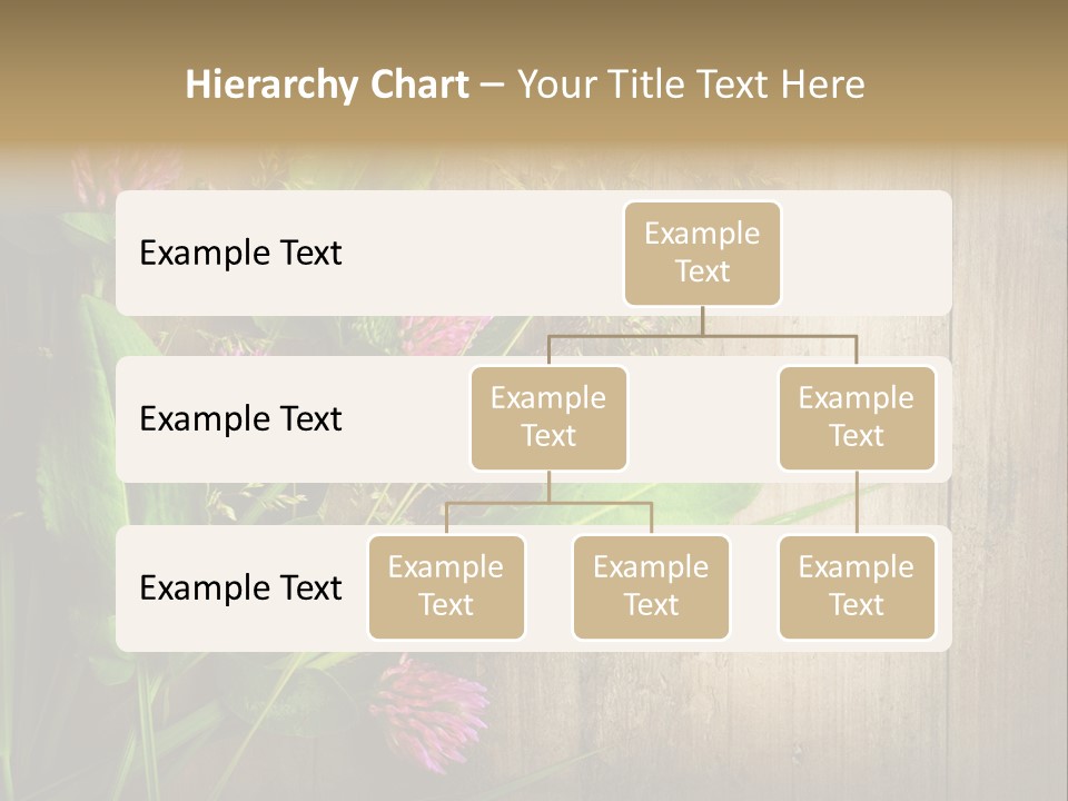 Leaves Pharmaceutical Herb PowerPoint Template