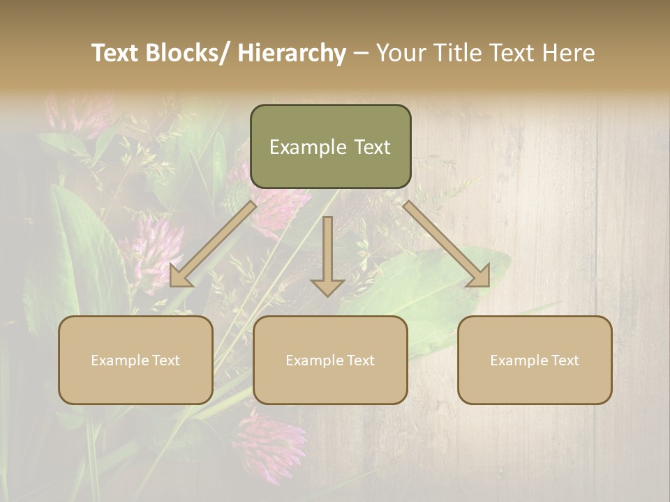 Leaves Pharmaceutical Herb PowerPoint Template