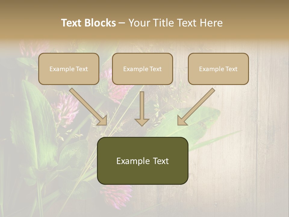 Leaves Pharmaceutical Herb PowerPoint Template