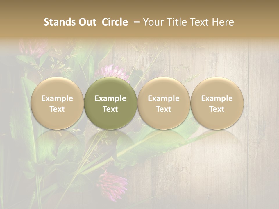 Leaves Pharmaceutical Herb PowerPoint Template