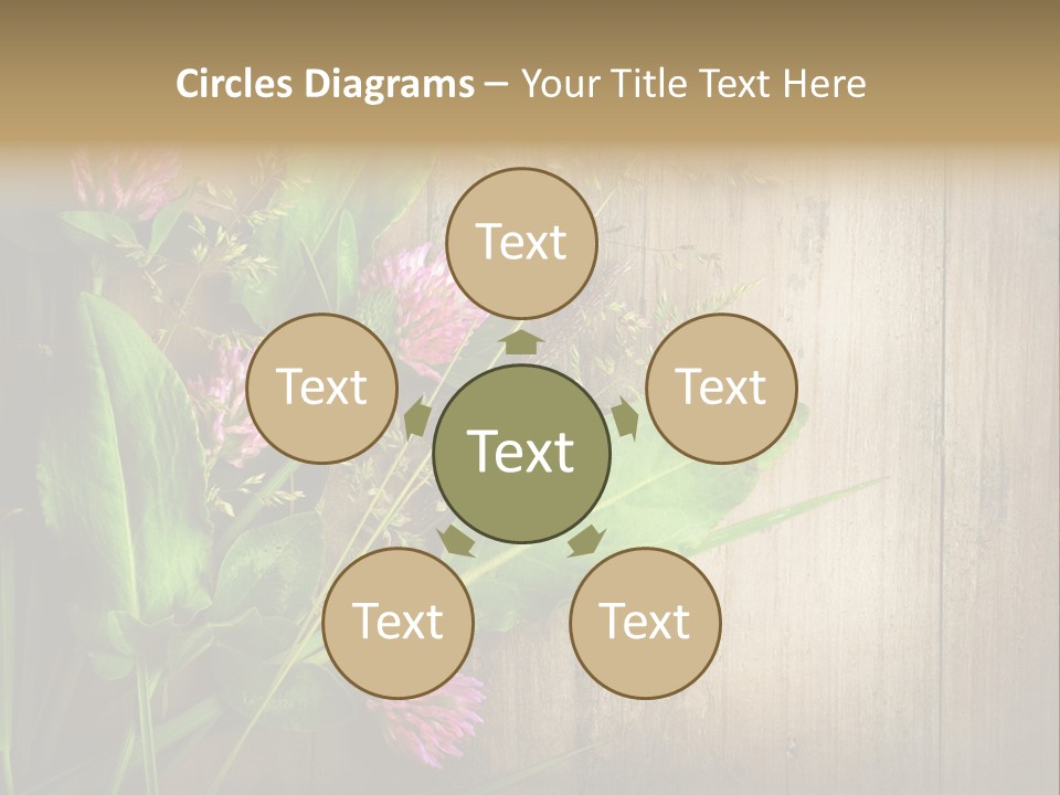 Leaves Pharmaceutical Herb PowerPoint Template