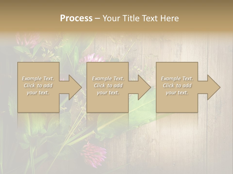 Leaves Pharmaceutical Herb PowerPoint Template