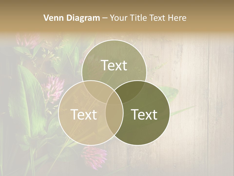 Leaves Pharmaceutical Herb PowerPoint Template