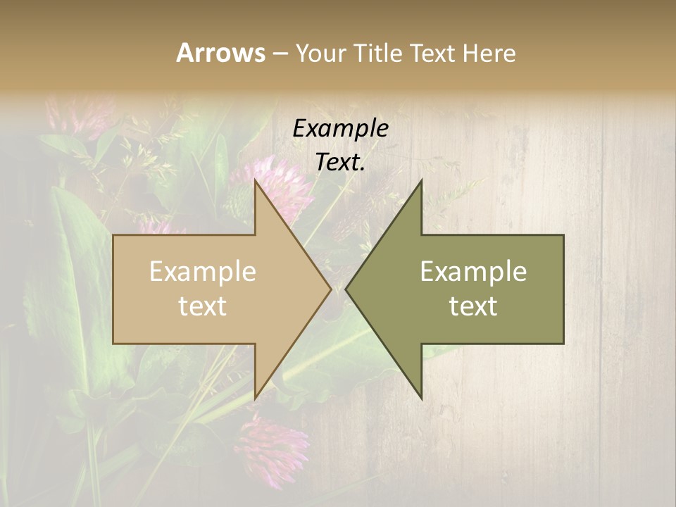 Leaves Pharmaceutical Herb PowerPoint Template