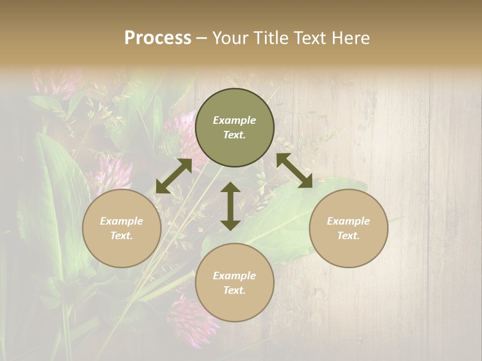 Leaves Pharmaceutical Herb PowerPoint Template
