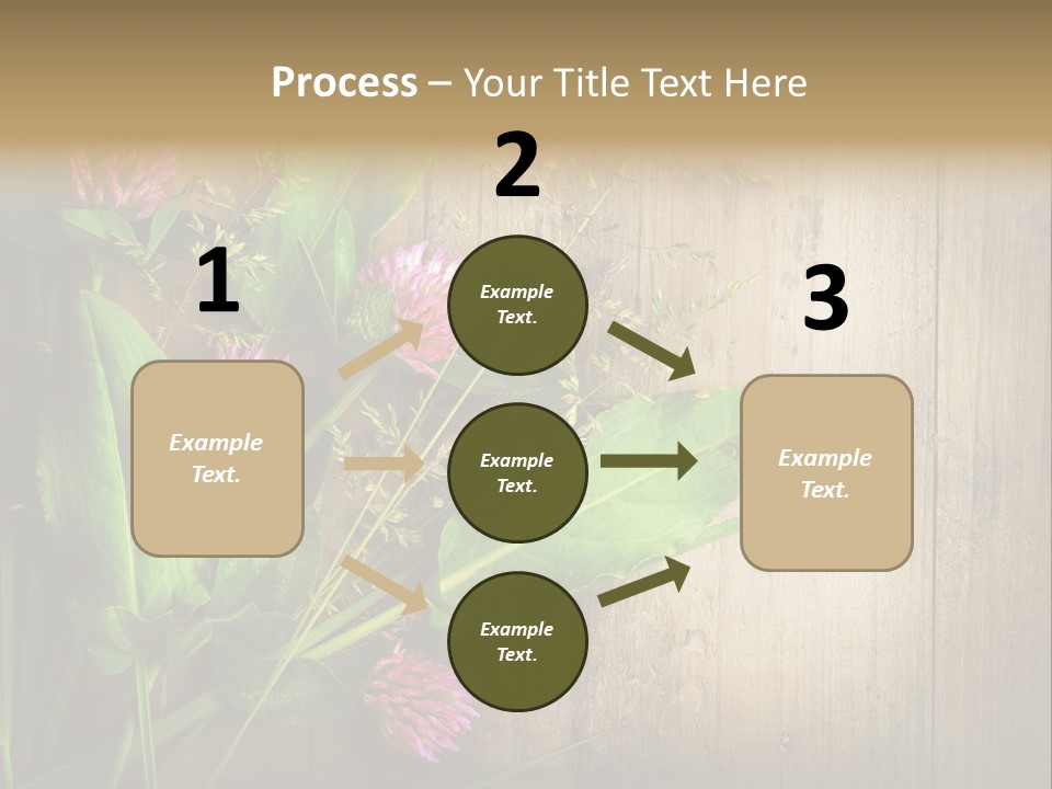 Leaves Pharmaceutical Herb PowerPoint Template