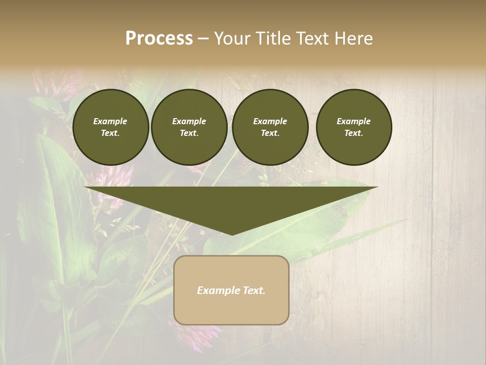 Leaves Pharmaceutical Herb PowerPoint Template