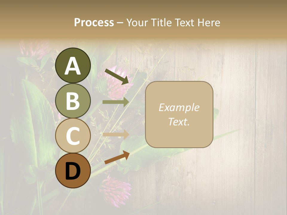 Leaves Pharmaceutical Herb PowerPoint Template