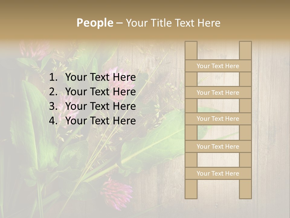 Leaves Pharmaceutical Herb PowerPoint Template