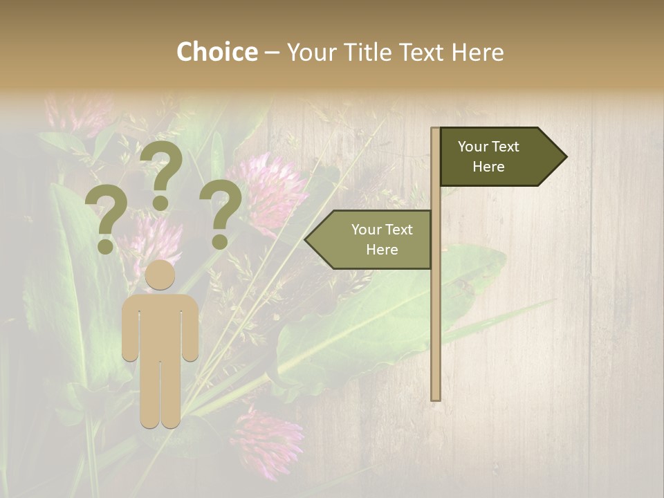 Leaves Pharmaceutical Herb PowerPoint Template