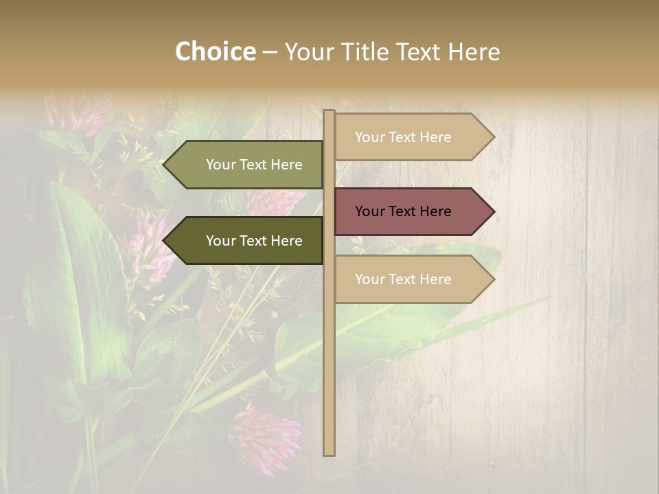 Leaves Pharmaceutical Herb PowerPoint Template