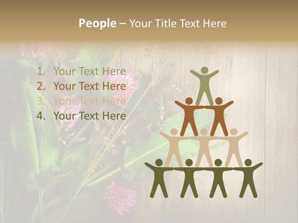 Leaves Pharmaceutical Herb PowerPoint Template