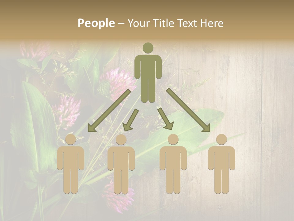 Leaves Pharmaceutical Herb PowerPoint Template