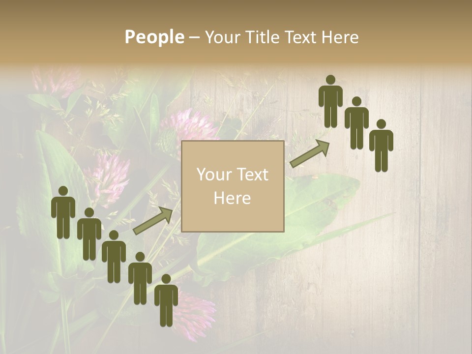 Leaves Pharmaceutical Herb PowerPoint Template