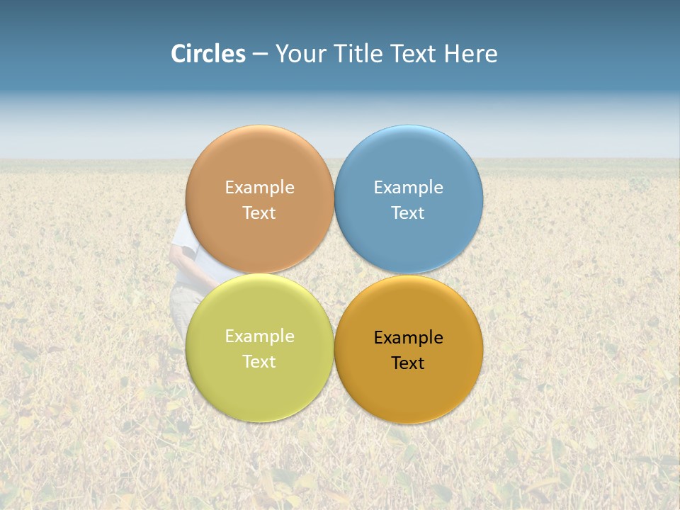 Donut Thin Resolution PowerPoint Template