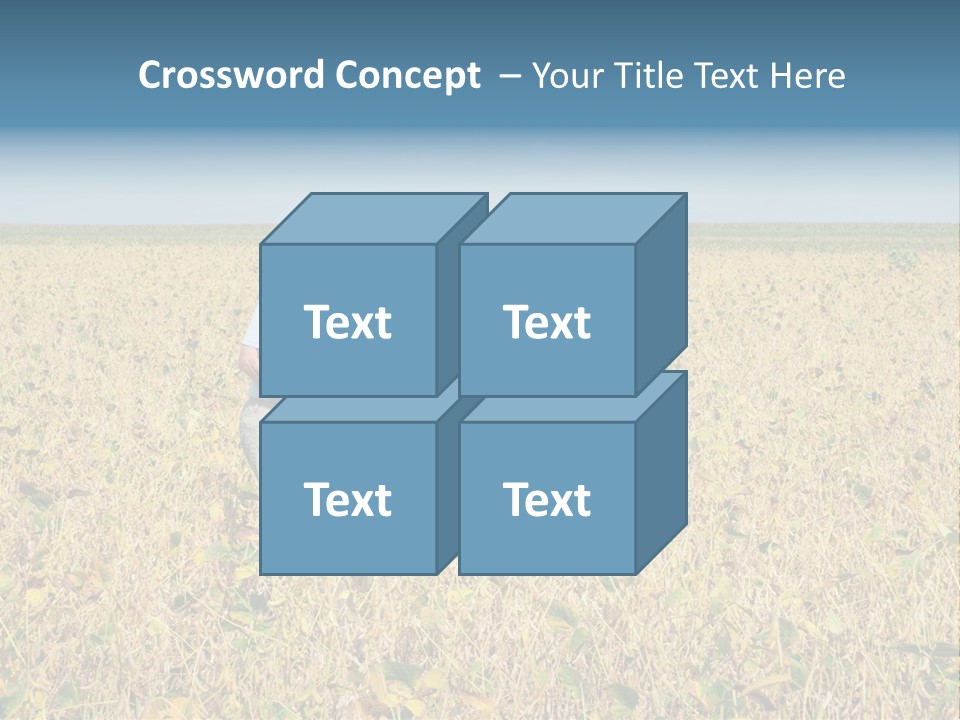 Donut Thin Resolution PowerPoint Template