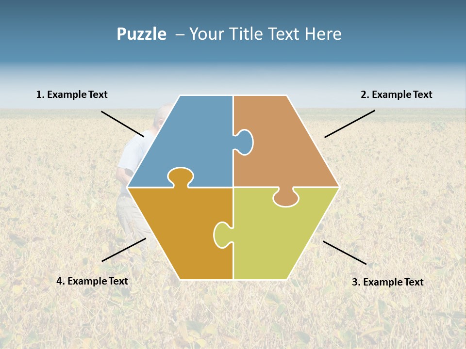 Donut Thin Resolution PowerPoint Template