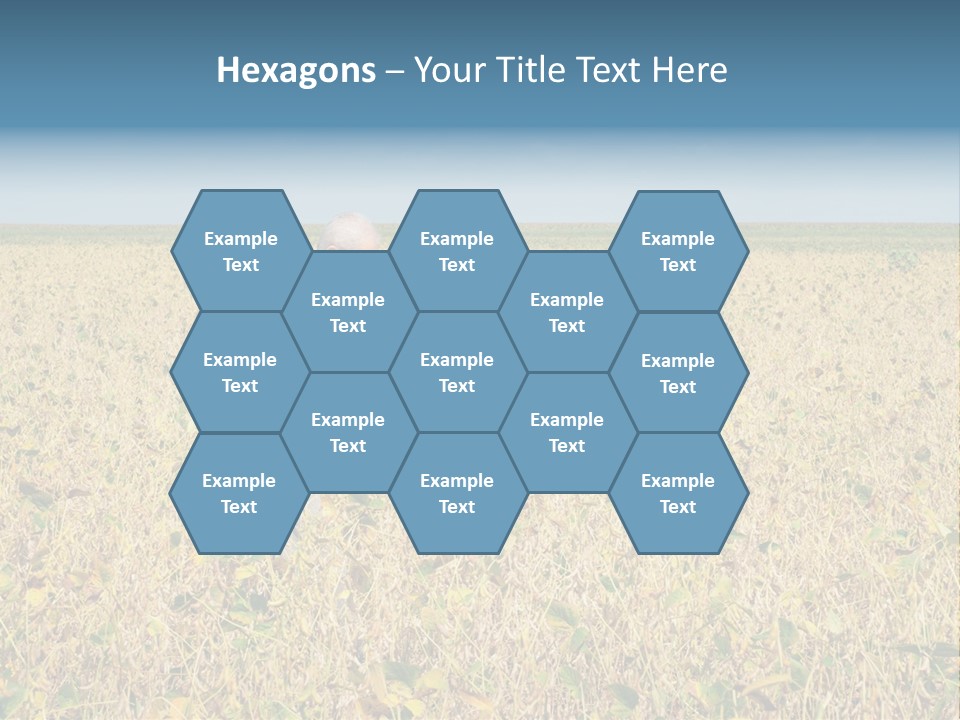 Donut Thin Resolution PowerPoint Template