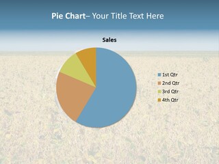 Donut Thin Resolution PowerPoint Template