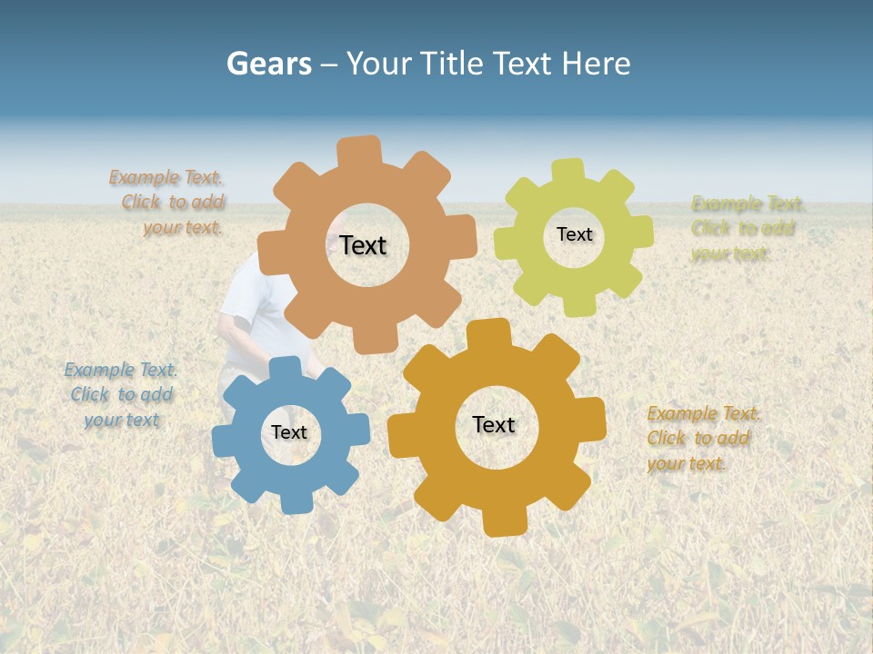 Donut Thin Resolution PowerPoint Template